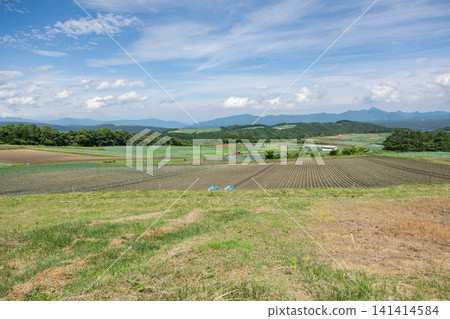 Vast farmlands as seen from Aisai-no-oka Hill in Tsumagoi Village, Gunma Prefecture Vast farmlands as seen from Aisai-no-oka Hill in Tsumagoi Village, Gunma Prefecture 141414584
