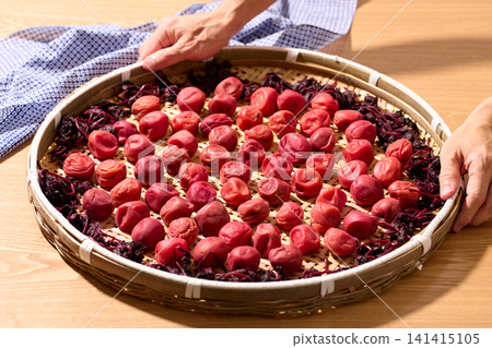 Sunflower with plum Sunflower with plum 141415105