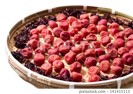 Sunflower with plum Sunflower with plum 141415113