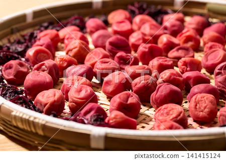 Sunflower with plum Sunflower with plum 141415124