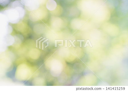 Summer deep green image material Summer deep green image material 141415259