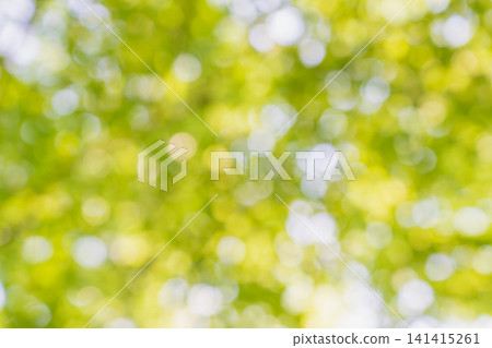 Summer deep green image material Summer deep green image material 141415261