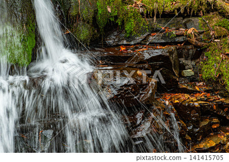 Spring water gushes from the moss-covered rock face of the Ryuo Gorge. Spring water gushes from the moss-covered rock face of the Ryuo Gorge. 141415705