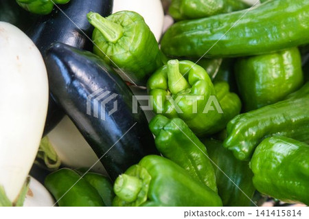很多夏季蔬菜 很多夏季蔬菜 141415814