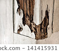 A detailed close-up of a wooden structure eaten by termites. Showing destroyed hollow wood texture with cracked peeling paint, perfect for pest control and property inspection concepts. 141415931