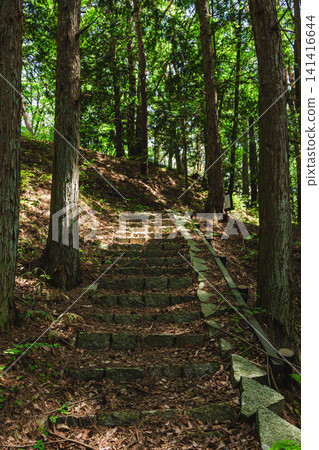 Stone steps leading into the woods of Takei Castle Ruins Park Stone steps leading into the woods of Takei Castle Ruins Park 141416644