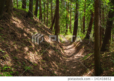 The dry moat of Takei Castle ruins and the hiking trail where sunlight filters through the trees. The dry moat of Takei Castle ruins and the hiking trail where sunlight filters through the trees. 141416652