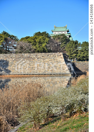 [Aichi Prefecture] Nagoya Castle keep and the restored stone walls of the rear gate. 141416666