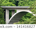 在新鮮的綠色橋樑 141416827