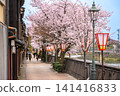 A spring scene of cherry blossoms in full bloom and paper lanterns along the Asano River in the Kazue-machi Chaya District of Kanazawa City, Ishikawa Prefecture. 141416833
