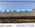 屋頂上鋪著藍色防水布 141417158
