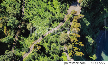 Top down drone view of winding asphalt road in Batumi Botanical Garden on green mountain slope near Black Sea coast in Georgia on sunny summer day Top down drone view of winding asphalt road in Batumi Botanical Garden on green mountain slope near Black Sea coast in Georgia on sunny summer day 141417227