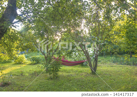 Summer leisure acitivites; red garden hamac in the summer blooming garden by sunny day 141417317