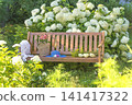Blue hat, wicker basket with summer vegetable on a wooden bench in a blooming summer garden 141417322