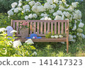 Blue hat, wicker basket with summer vegetable on a wooden bench in a blooming summer garden 141417323