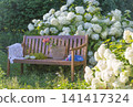 Blue hat, wicker basket with summer vegetable on a wooden bench in a blooming summer garden 141417324