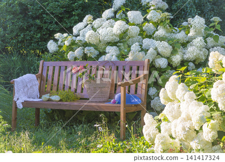 Blue hat, wicker basket with summer vegetable on a wooden bench in a blooming summer garden 141417324