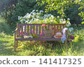Blue hat, wicker basket with summer vegetable on a wooden bench in a blooming summer garden 141417325