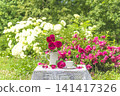 Summer leisure activities in the garden; white cup of tea, bouquet of rose flowers on a table covered by lacy tablecloth in the summer blooming garden 141417326