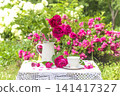 Summer leisure activities in the garden; white cup of tea, bouquet of rose flowers on a table covered by lacy tablecloth in the summer blooming garden 141417327