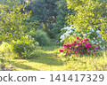 Summer ornamental garden by sunny day 141417329