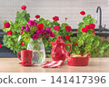 vase with rose flowers, red mug of coffee, cookies on the kitchen table	 141417396
