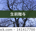 背景文字為“終身禮物” 141417700