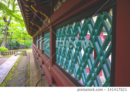 April 25 2026 Ueno Toshogu Shrine Corridor With Teal Lattice 141417821