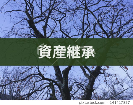 書的背面寫著「資產繼承」字樣 書的背面寫著「資產繼承」字樣 141417827