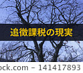 附帶文字的額外稅務評估的現實情況 141417893