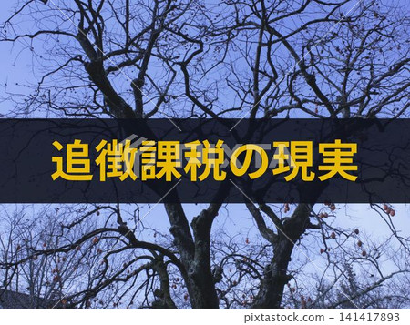 附帶文字的額外稅務評估的現實情況 附帶文字的額外稅務評估的現實情況 141417893