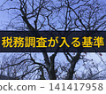 背景圖上附有文字，標示觸發稅務審計的標準。 141417958