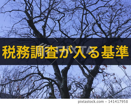 背景圖上附有文字,標示觸發稅務審計的標準。 背景圖上附有文字,標示觸發稅務審計的標準。 141417958