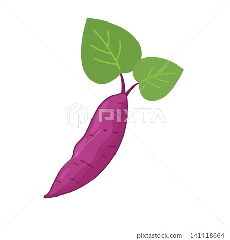 purple sweet potato cartoon vector element design template purple sweet potato cartoon vector element design template 141418664