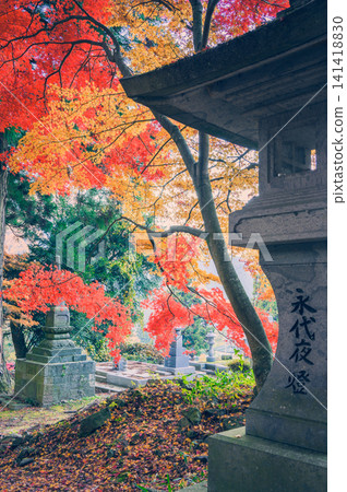 【清水寺】燈籠與秋葉【長野市】 141418830