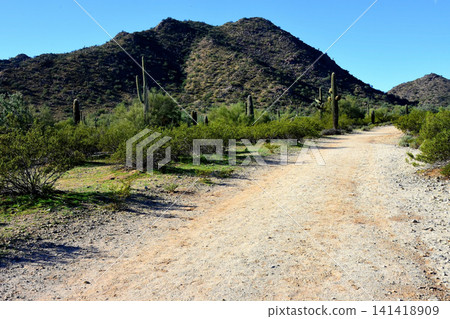 Arizona Desert Arroyo Arizona Desert Arroyo 141418909
