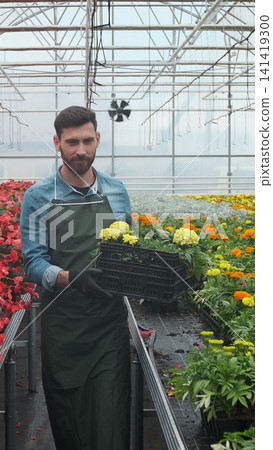 Vertical video Worker walking in a flowerpot. Agricultural engineer working in greenhouse. Vertical video Worker walking in a flowerpot. Agricultural engineer working in greenhouse. 141419300