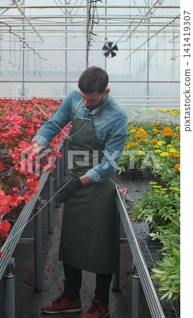Vertical video Worker walking in a flowerpot. Agricultural engineer working in greenhouse. Vertical video Worker walking in a flowerpot. Agricultural engineer working in greenhouse. 141419307