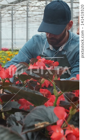Vertical video Shopping for Flowers in a Sunlit Garden Shop. 4K. Person browsing decorative plants in a sunny greenhouse market. Home and Garden concept. Vertical video Shopping for Flowers in a Sunlit Garden Shop. 4K. Person browsing decorative plants in a sunny greenhouse market. Home and Garden concept. 141419320