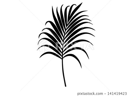 Aesthetic palm leaf silhouette design Aesthetic palm leaf silhouette design 141419423
