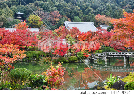 Kyoto, Eikan-do Temple (Zenrin-ji Temple): Beautiful autumn foliage (Sakyo-ku, Kyoto City, Kyoto Prefecture) Kyoto, Eikan-do Temple (Zenrin-ji Temple): Beautiful autumn foliage (Sakyo-ku, Kyoto City, Kyoto Prefecture) 141419795