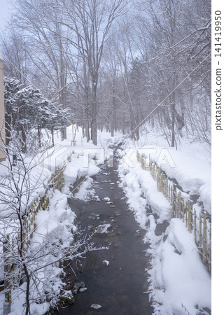 在北海道的冬天,白雪皚皚的河流和光禿禿的樹木構成了一幅寧靜的景象。 在北海道的冬天,白雪皚皚的河流和光禿禿的樹木構成了一幅寧靜的景象。 141419950