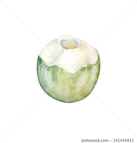 Watercolor illustration of a green tropical coconut. A cold, refreshing drink for travel, the beach, or vacation. A coconut water cocktail for a seaside or ocean getaway. A delicious summer drink. 141420912