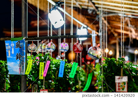 Sensoji Temple 46,000 Days Ground Cherry Market 141420920