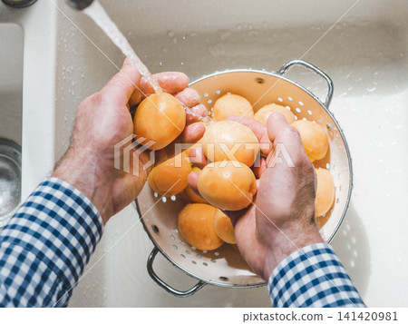 Male hands wash ripe apricots Male hands wash ripe apricots 141420981
