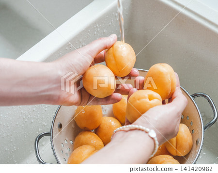 Female hands wash ripe apricots Female hands wash ripe apricots 141420982
