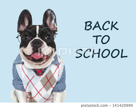 Back to school. Cute puppy, vest and red tie Back to school. Cute puppy, vest and red tie 141420999