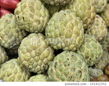 Group of fresh green sugar apples custard apples background 141421352