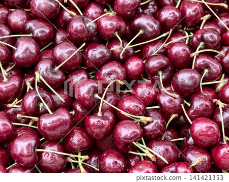 Fresh glossy red cherries with green stems closely packed together 141421353