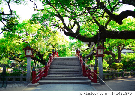 一座美麗的朱紅色拱橋,周圍環繞著枝繁葉茂、綠意盎然的大樹,構成了一幅日式庭園的優美景色。 一座美麗的朱紅色拱橋,周圍環繞著枝繁葉茂、綠意盎然的大樹,構成了一幅日式庭園的優美景色。 141421879